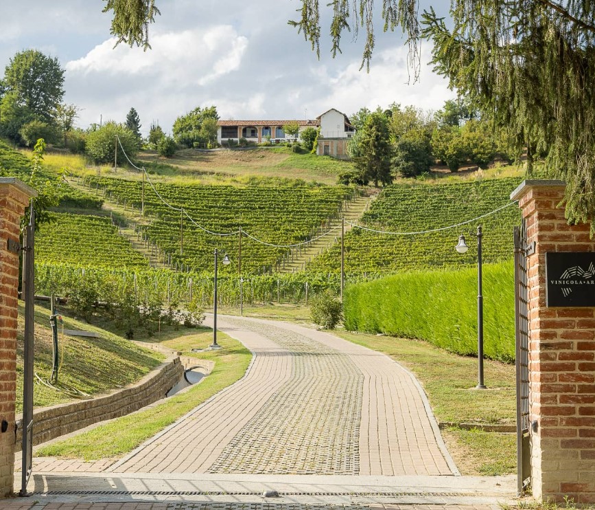 Vinicola Arno 02